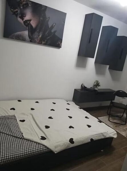 Rahova, Petre Ispirescu, Pricopan,